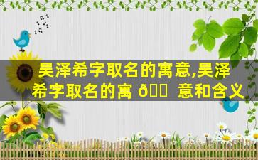 吴泽希字取名的寓意,吴泽希字取名的寓 🐠 意和含义